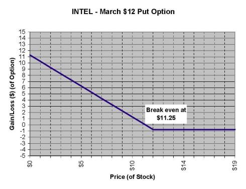 $12 March 2009 INTEL Put